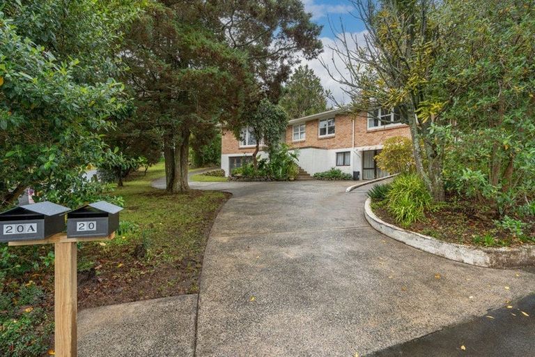Photo of property in 20 Helena Road, Hillcrest, Hamilton, 3216