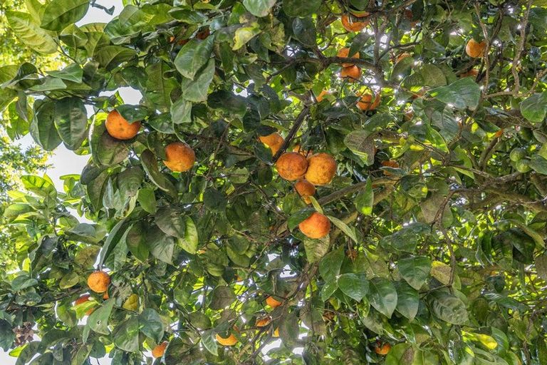 Photo of property in 40 Harris Street, Huntly, 3700