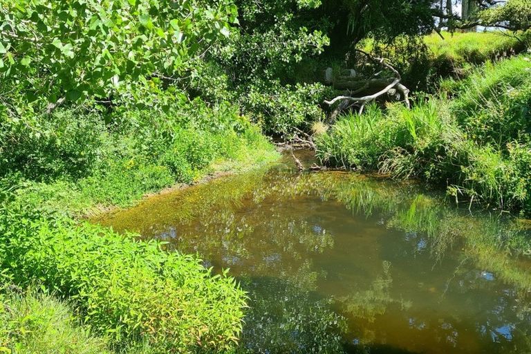 Photo of property in 444 Brown Road, Mangawhai, Kaiwaka, 0573