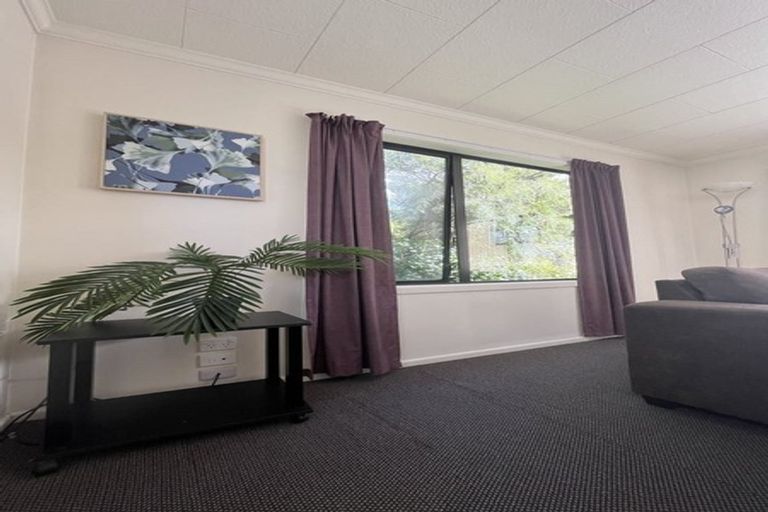 Photo of property in 17a Serpentine Avenue, Dunedin Central, Dunedin, 9016