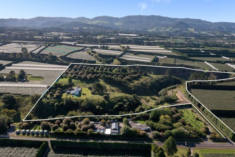 Photo of property in 612 No 1 Road, Te Puke, 3182