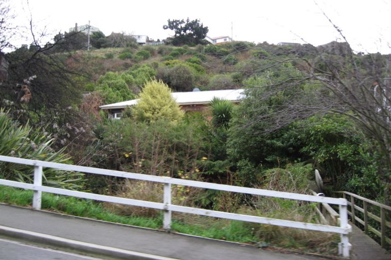 Photo of property in 120 Bedford Street, Saint Clair, Dunedin, 9012