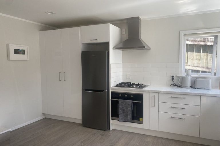 Photo of property in 29 Tuarangi Road, Grey Lynn, Auckland, 1021