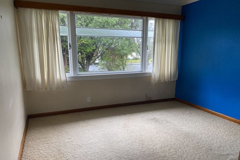 Photo of property in 803 Rimu Street, Mahora, Hastings, 4120