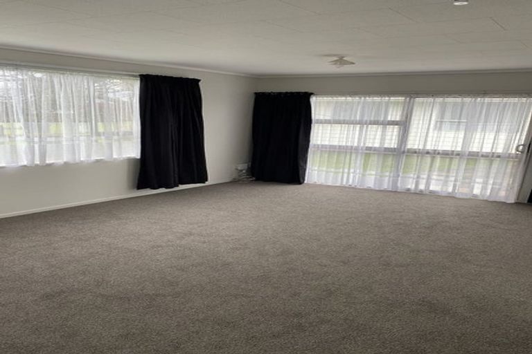 Photo of property in 113 Featherston Street, Palmerston North, 4410