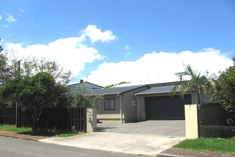 Photo of property in 17a Skinner Road, Mount Wellington, Auckland, 1060