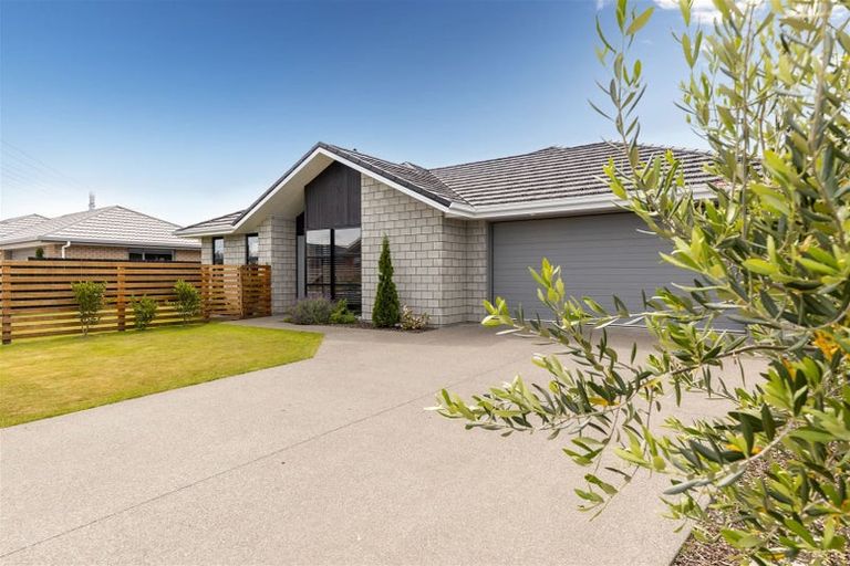 Photo of property in 8 Mustang Alley, Burleigh, Blenheim, 7201