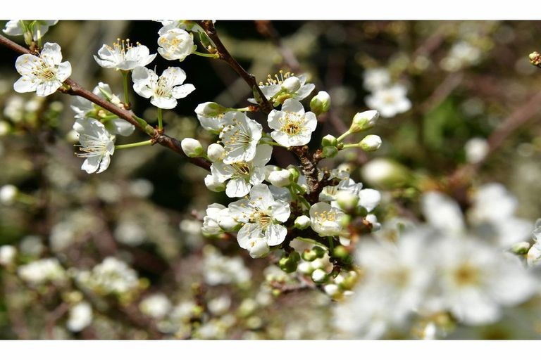 Photo of property in 124 Ahuroa Road, Puhoi, Warkworth, 0994