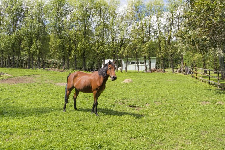 Photo of property in 54 Griffin Road, Omanawa, Tauranga, 3171