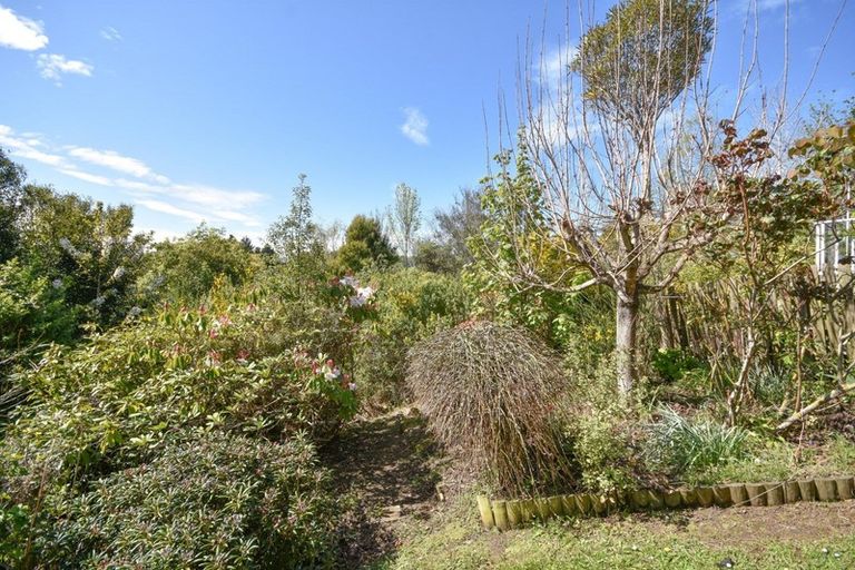 Photo of property in 9 Sandhead Street, Waihola, Milton, 9073