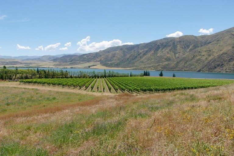 Photo of property in 49 Awahokomo Road, Kurow, 9435