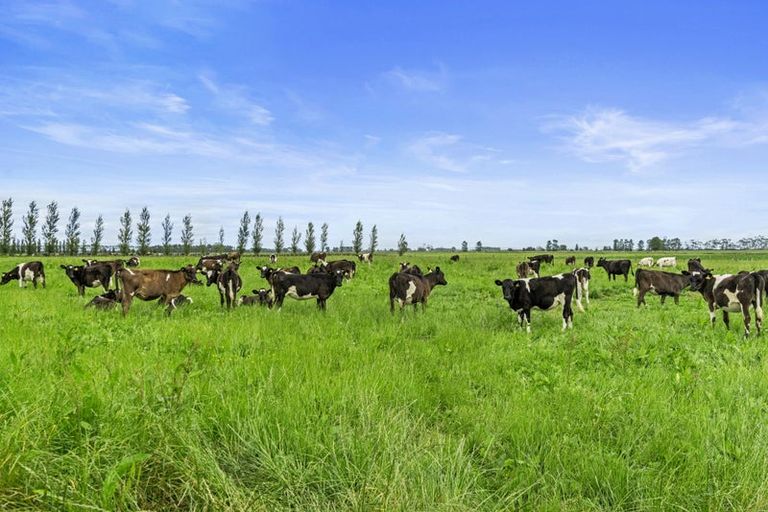 Photo of property in 1887b State Highway 26, Motumaoho, Morrinsville, 3372