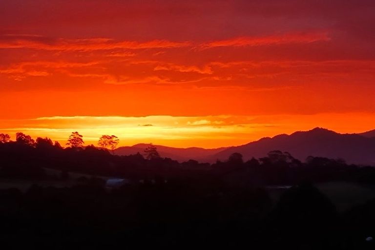 Photo of property in 70 Forest View Road, Te Kamo, Kamo, 0185