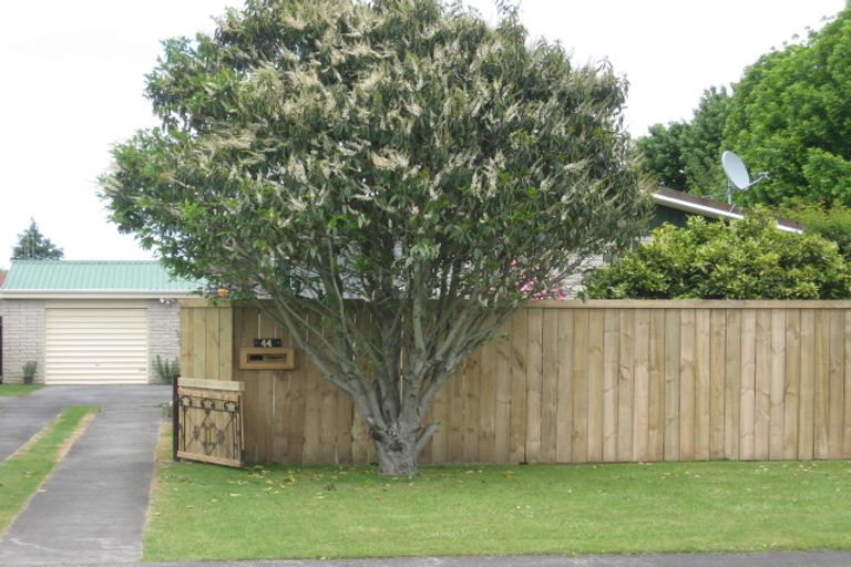 Photo of property in 44 Moore Street, Leamington, Cambridge, 3432