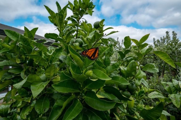 Photo of property in 2b Ranui Street, Ngatea, 3503