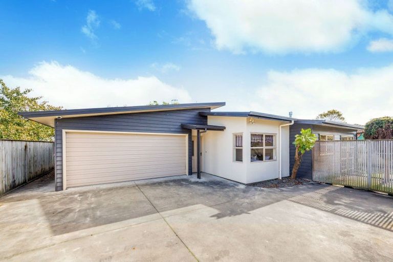 Photo of property in 36c Fitzroy Street, Terrace End, Palmerston North, 4410