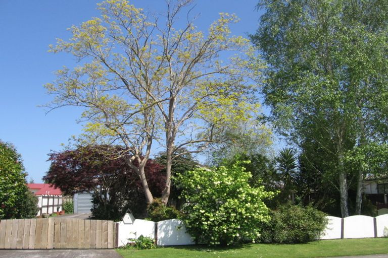 Photo of property in 9 Buchanan Street, Matamata, 3400