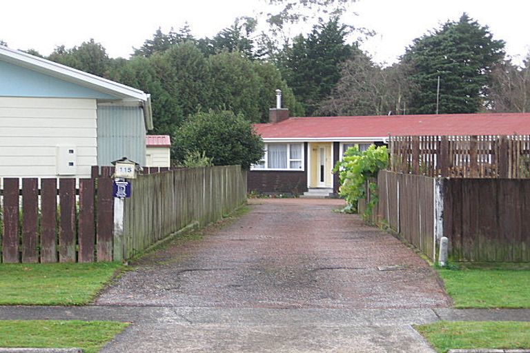 Photo of property in 115 Richmond Avenue, Tokoroa, 3420