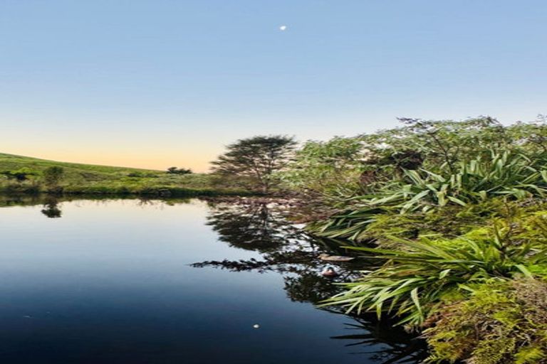 Photo of property in 152 Turner Road, Whakamarama, 3181