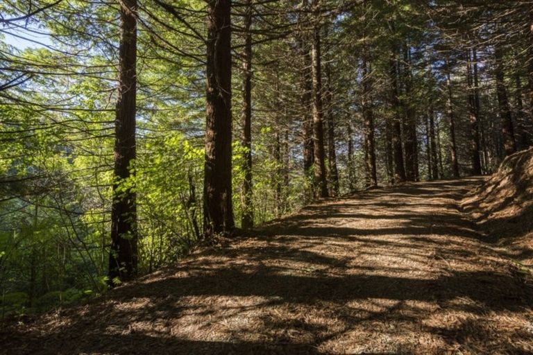 Photo of property in 77 Grammer Road, Tahawai, Katikati, 3170