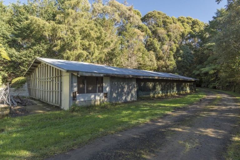 Photo of property in 77 Grammer Road, Tahawai, Katikati, 3170