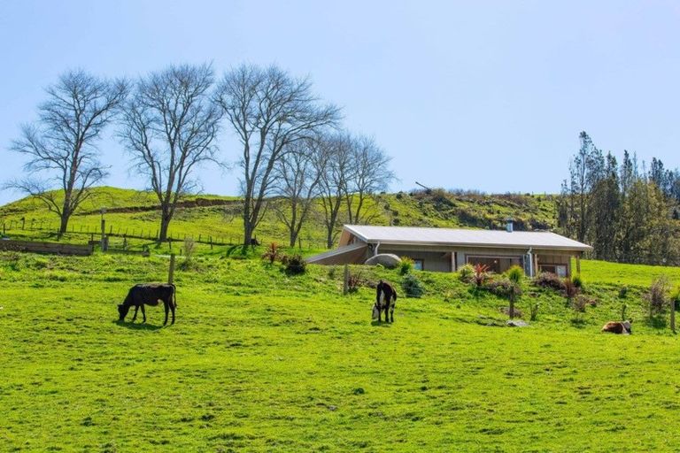 Photo of property in 512 Waitetuna Valley Road, Waitetuna, Raglan, 3295