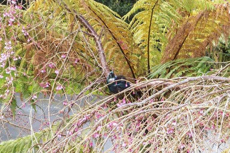 Photo of property in 22 Bridge Road, Birchville, Upper Hutt, 5018