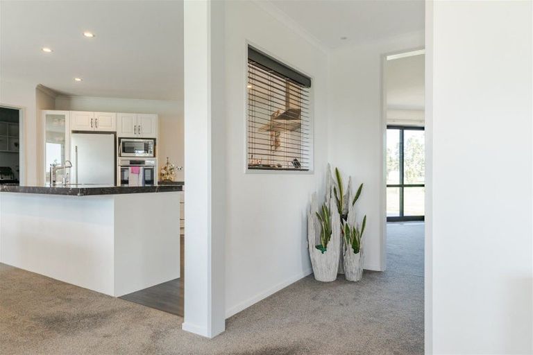 Photo of property in 73 Mcpadden Road, Westport, 7892