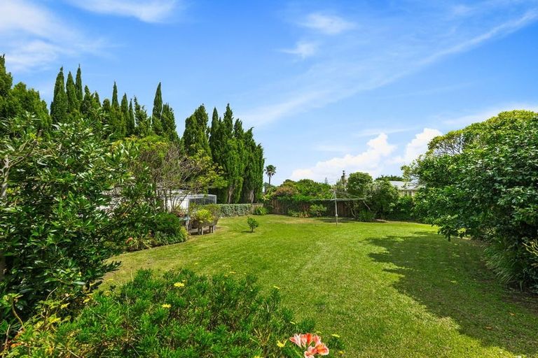 Photo of property in 70 Buscomb Avenue, Henderson, Auckland, 0610