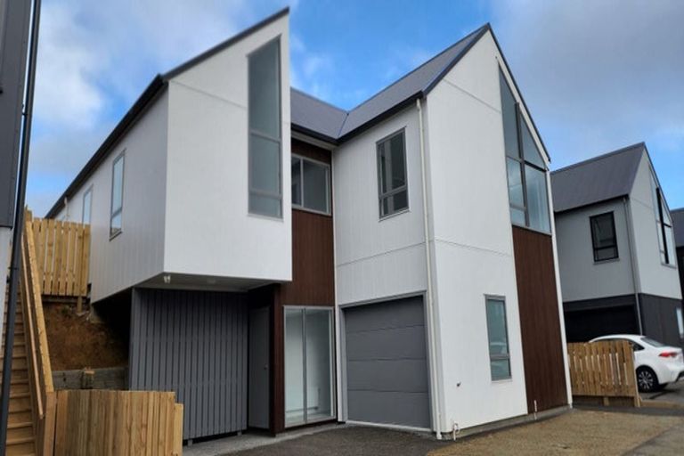 Photo of property in 17 Lemonwood Way, Woodridge, Wellington, 6037