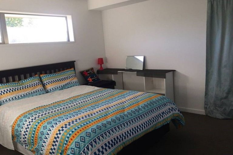 Photo of property in 17 Missy Crescent, Mount Pisa, Cromwell, 9383