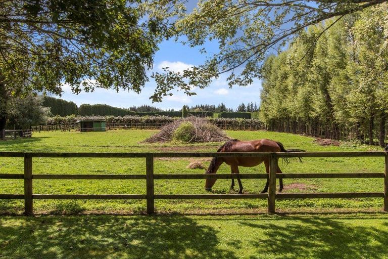 Photo of property in 54 Griffin Road, Omanawa, Tauranga, 3171