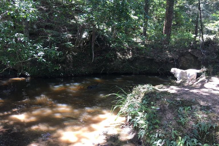 Photo of property in 482 Millbrook Road, Waipu, 0582