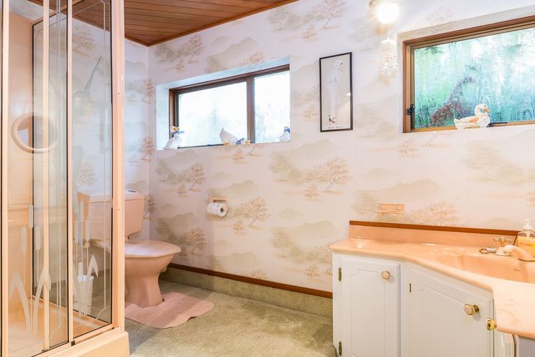 Photo of property in 50 Scobie Road, Waverley, Dunedin, 9013