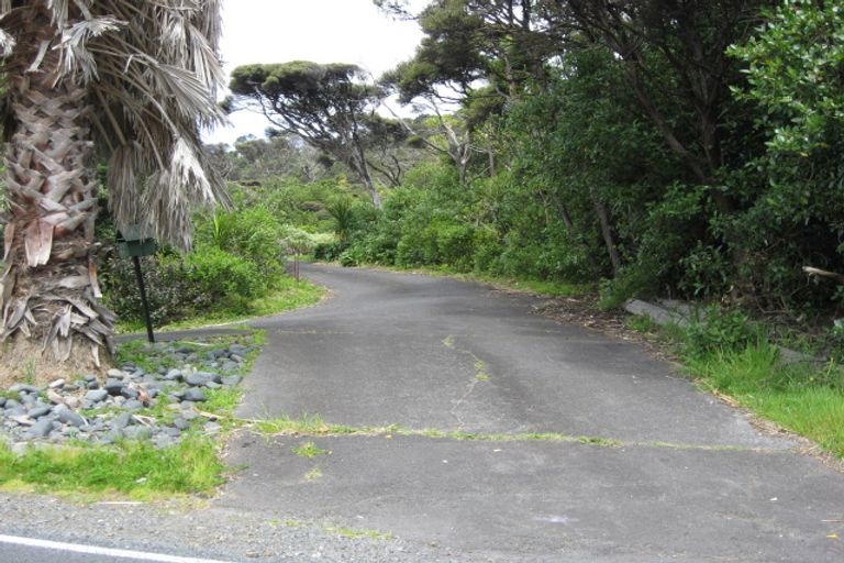 Photo of property in 77 Seaview Road, Piha, New Lynn, 0772