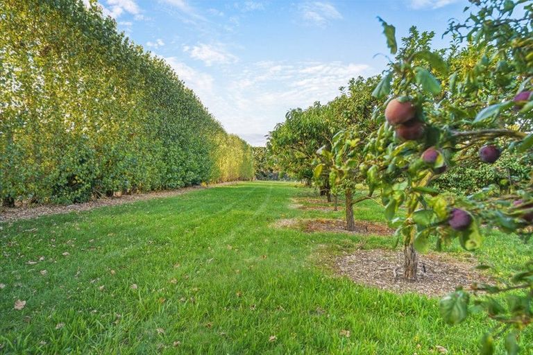 Photo of property in 130 Merton Road, Fernside, Rangiora, 7471