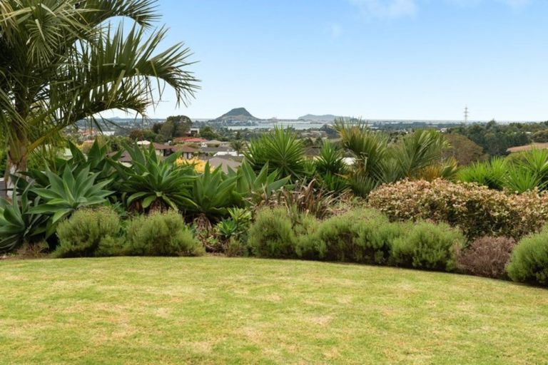 Photo of property in 31 Upper Ohauiti Road, Ohauiti, Tauranga, 3173