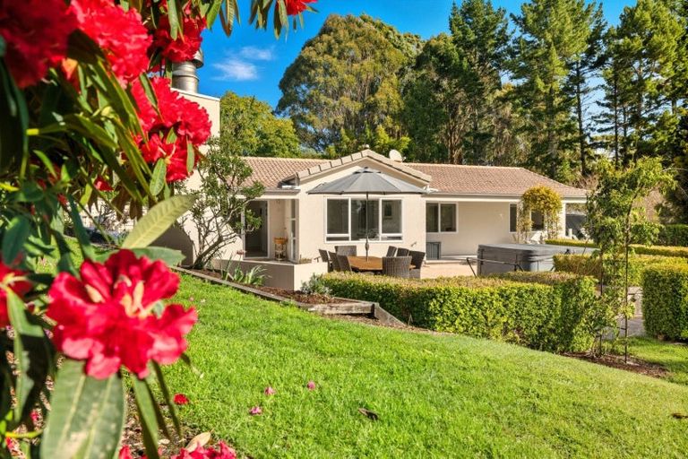 Photo of property in 57 Panorama Drive, Welcome Bay, Tauranga, 3175
