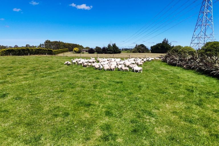 Photo of property in 173 Taylor Road, Makarewa, Invercargill, 9876