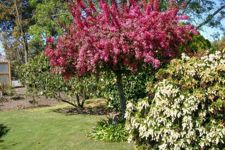 Photo of property in 20 Taranaki Drive, Woodend, 7610