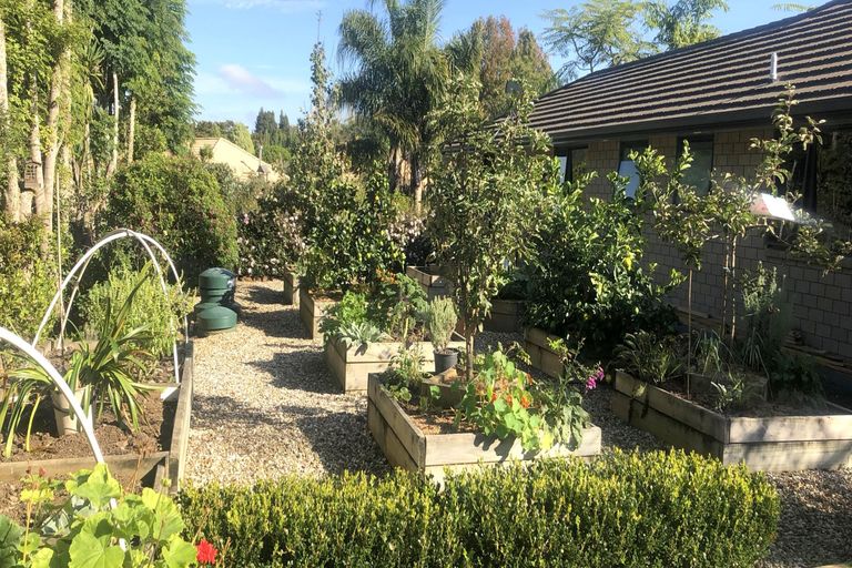 Photo of property in 67 Kendall Road, Kerikeri, 0230