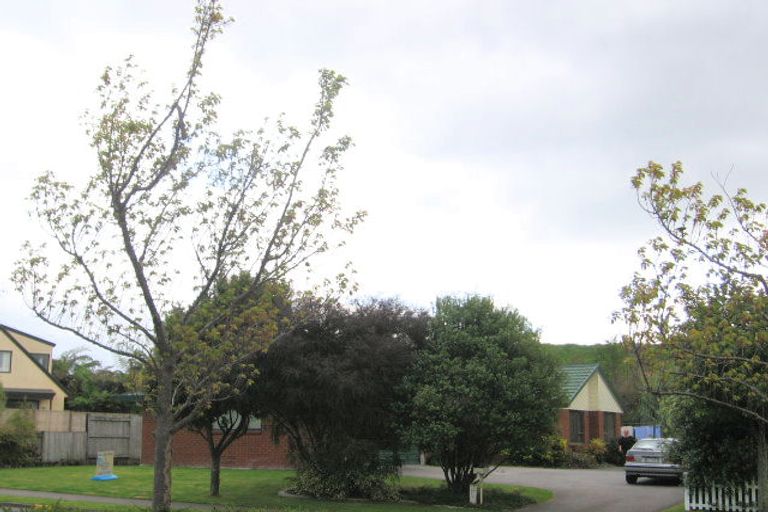 Photo of property in 55 Cheyne Road, Pyes Pa, Tauranga, 3112