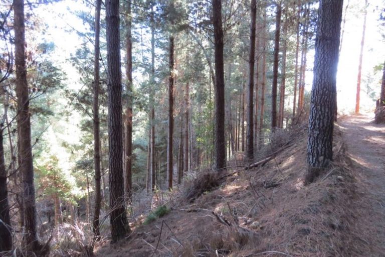 Photo of property in 4573 Shenandoah Highway, Maruia, Reefton, 7077