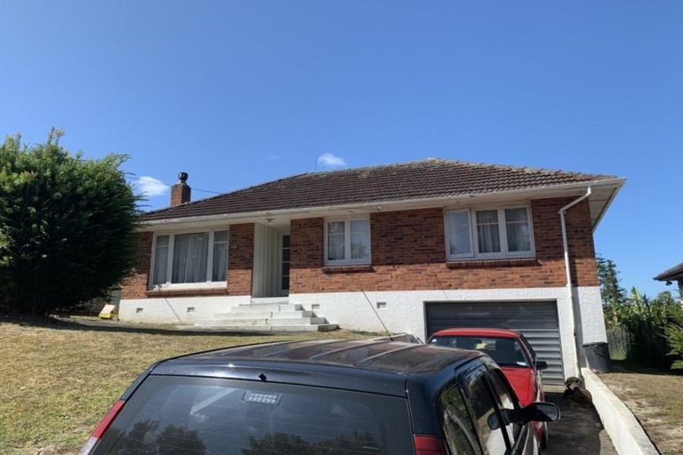 Photo of property in 22 Willerton Avenue, New Lynn, Auckland, 0600