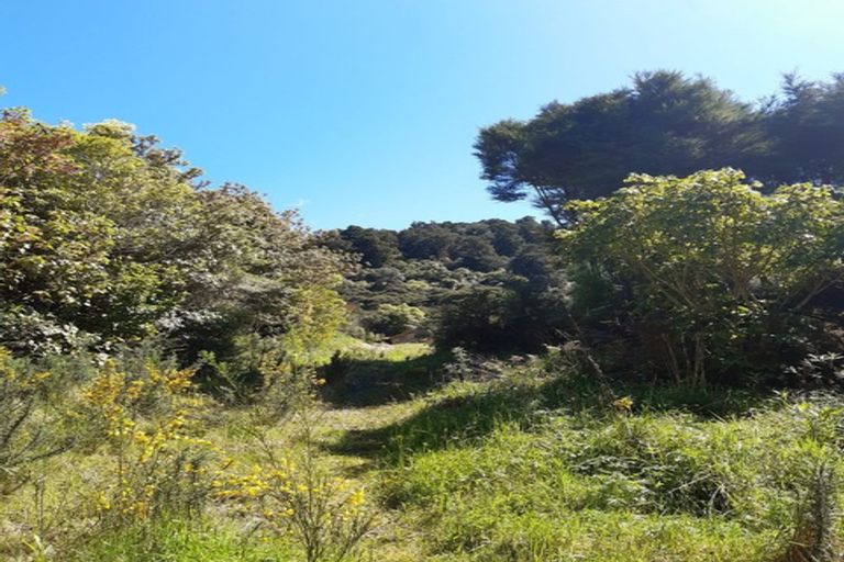 Photo of property in 290 Mount Cargill Road, Mount Cargill, Waitati, 9085