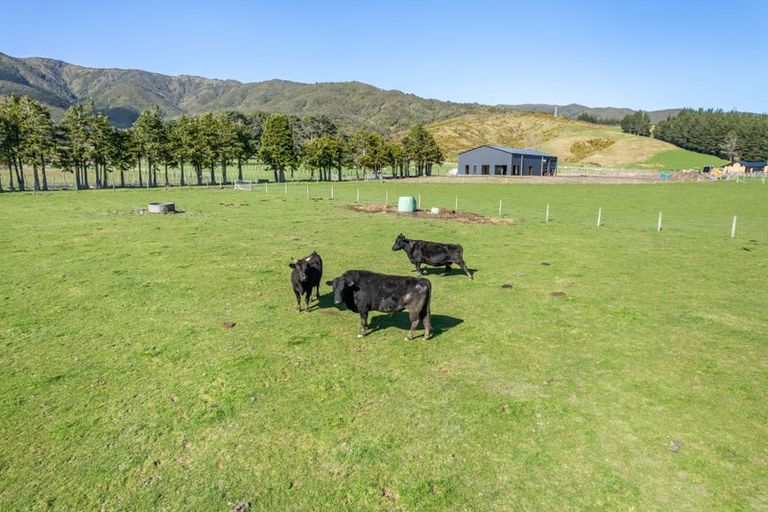 Photo of property in 8 Turksma Lane, Kaitoke, 5018