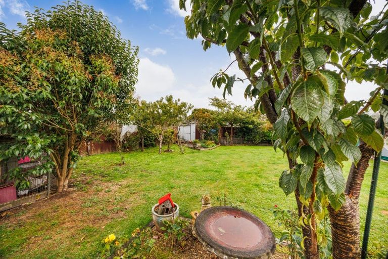 Photo of property in 67 Winchester Street, Ashhurst, 4810