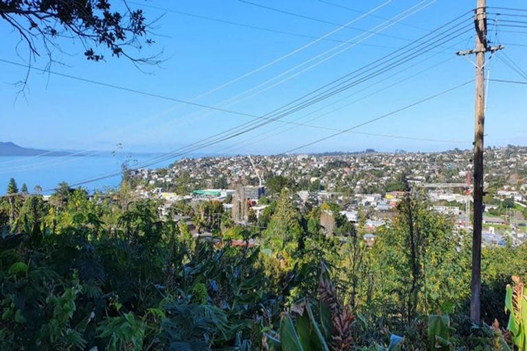 Photo of property in 9 Carlisle Road, Torbay, Auckland, 0630