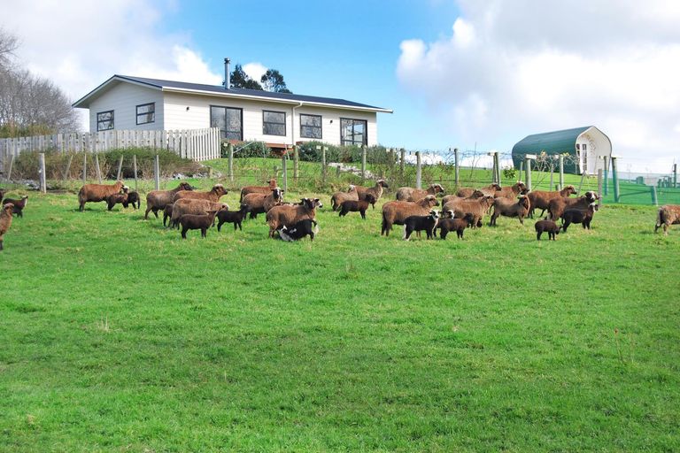 Photo of property in 56 Wattle Lane, Kaiwaka, 0573