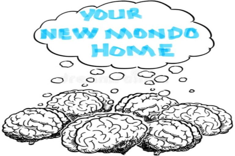 Photo of property in 13 Ada Close, Cambridge, 3434